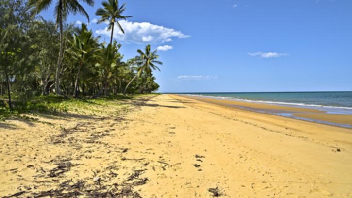 A Queensland couple have been fined over $1500 for bringing their dog to a national park.