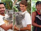 Manny Pacquiao, Roger Federer and Naomi Osaka have been among those to hold a koala at Lone Pine Sanctuary in Brisbane.