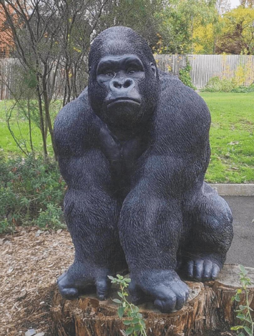 Garry the Gorilla has been found.
