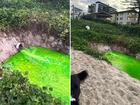 A green liquid has gushed from a pipe onto the Gold Coast’s Palm Beach.