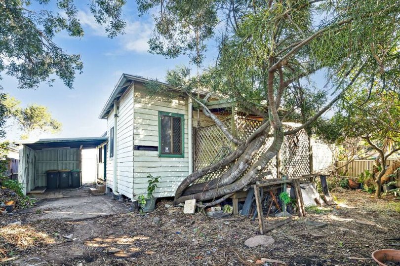 A tree is growing over the house.