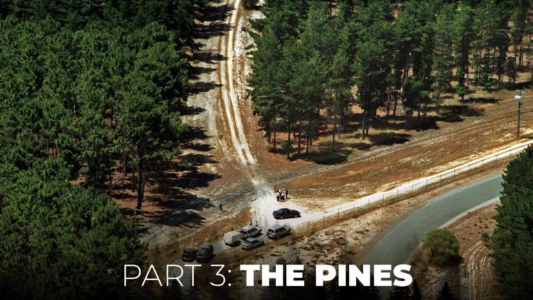 The Boy in the Blue Cap: The Pines