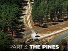 The Boy in the Blue Cap: The Pines