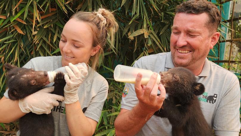 Perth Zoo keeper Lauren Sumner with CEO Matt Hunt with a couple of the rescued moon bears.