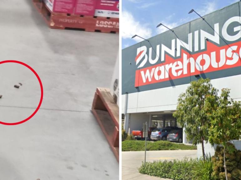 Customers have reignited the debate around dogs being allowed in Bunnings stores. 