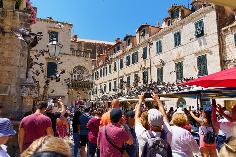 A crowd of tourists takes pictures of a flock of pigeons on the street of the old town of Dubrovnik in Croatia.