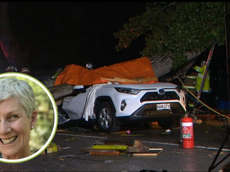 Judith Ditter was killed when a tree fell on her car on Mount Barker Rd in November 2020.