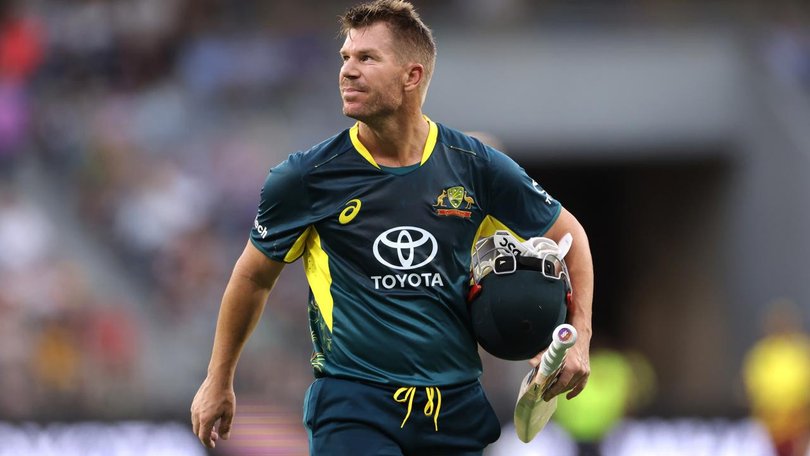 Retired cricketer David Warner has cheekily said he would be "open" to play for Australia again. (Richard Wainwright/AAP PHOTOS)