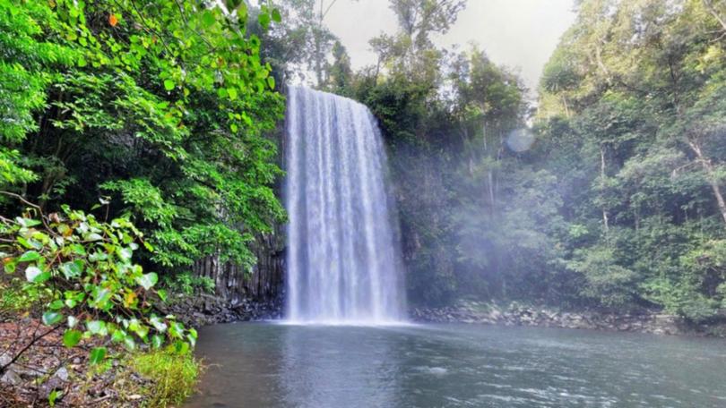 A rescue operation is underway to find two missing swimmers at Millaa Milla Falls near Cairns.