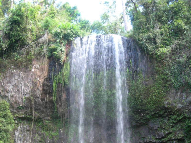 Millaa Millaa Falls