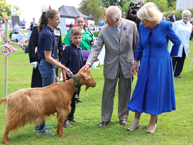 King Charles and Queen Camilla meet with goat Somerville Tamsin, affectionately known as Tam Tam.