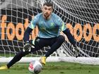 Australia's captain Mat Ryan isn't settling for a back-up role at club level. (Dean Lewins/AAP PHOTOS)