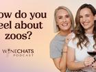 WATCH: This week on Wine Chats, we are chatting about our thoughts on whether visiting zoos and paying to see animals do tricks in circuses is humane.