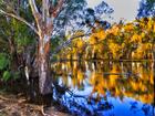 Tragically, the man’s body was located in dense bushland near the Murrumbidgee River.