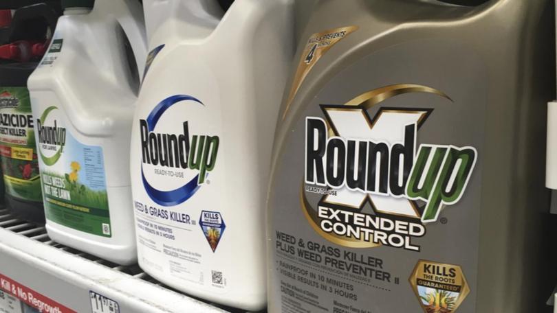 A class action claims Roundup's active ingredient glyphosate caused cancer in over 800 Australians. (AP PHOTO)