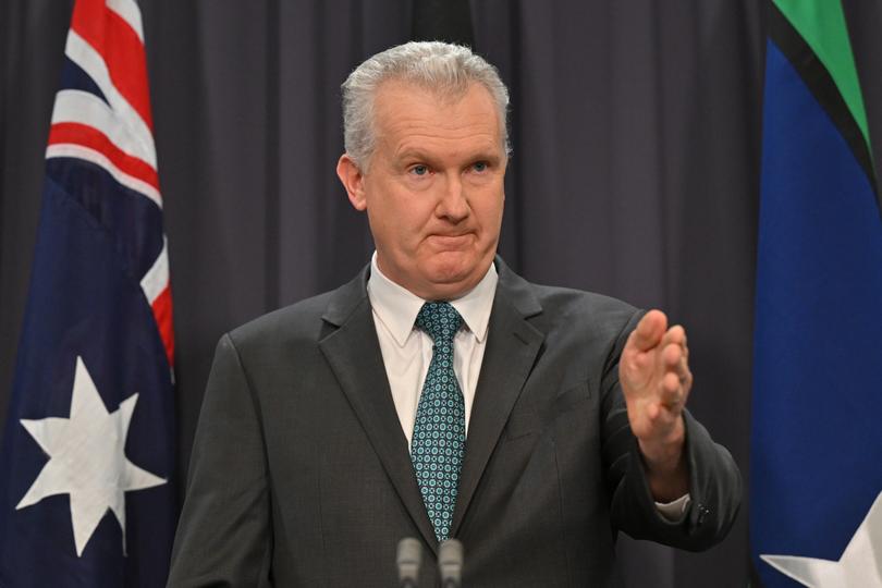 Minister for Employment Tony Burke at a press conference at Parliament House in Canberra, Wednesday, July 17, 2024. (AAP Image/Mick Tsikas) NO ARCHIVING