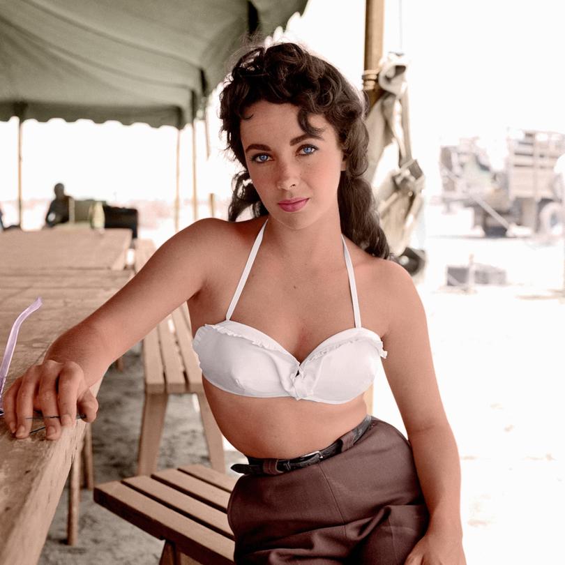 Elizabeth Taylor was at one time the highest paid actor.