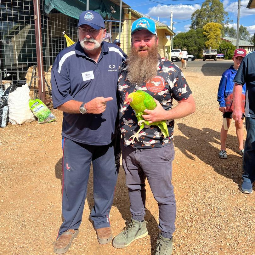 Ben's Chicken Racing at the Royal Carrangarra Hotel in Tambo is booming.