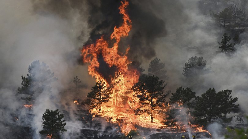 Flames consume trees as the Alexander Mountain Fire burns near Sylvan Dale Ranch late Tuesday, July 30, 2024, west of Loveland, Colo. (Helen H. Richardson/The Denver Post via AP)