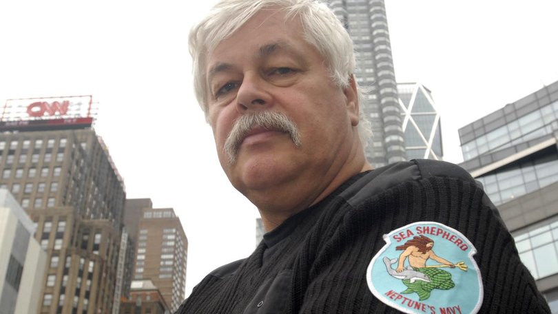 Sea Shepherd founder Paul Watson was arrested by Danish police in Greenland on July 21.