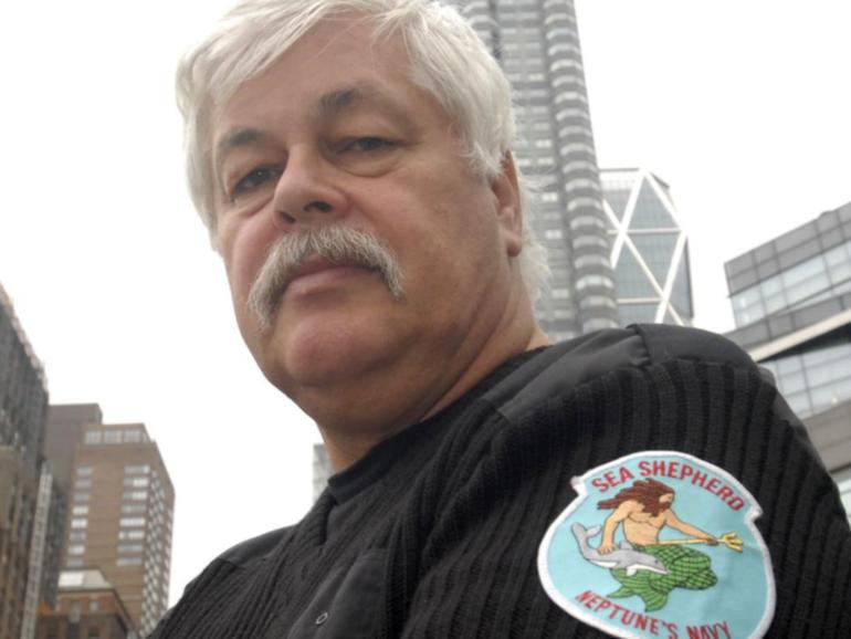 Sea Shepherd founder Paul Watson was arrested by Danish police in Greenland on July 21.