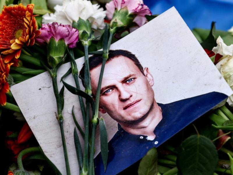 Putin unlikely to have ordered Navalny's death, US says