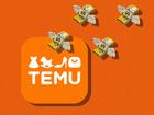 The rise of Temu has been meteoric but if you love it, chances are you’re the one getting played.