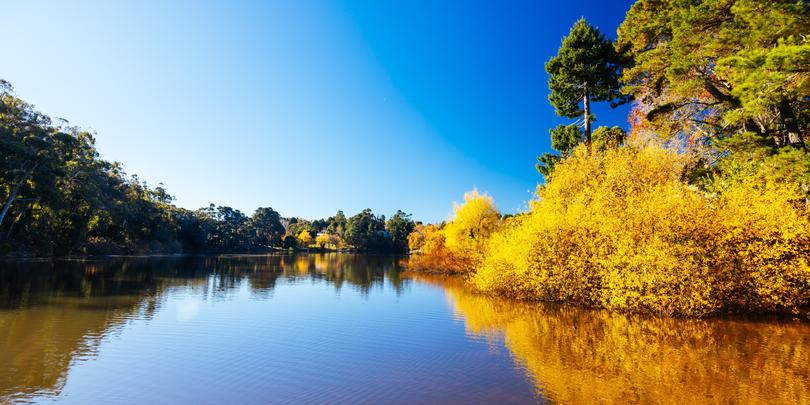 Daylesford is renowned for its natural mineral springs.