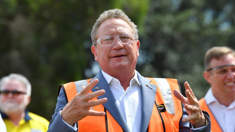 Fortescue’s Andrew 'Twiggy' Forrest.