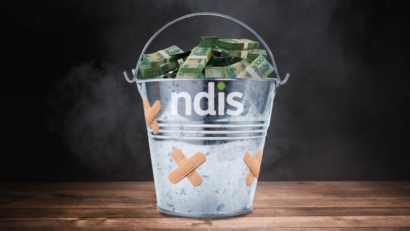 DAN JERVIS-BARDY: The problems with the NDIS go well beyond waste and rorts