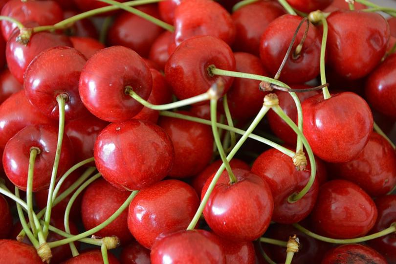 cherries, fruit, garden