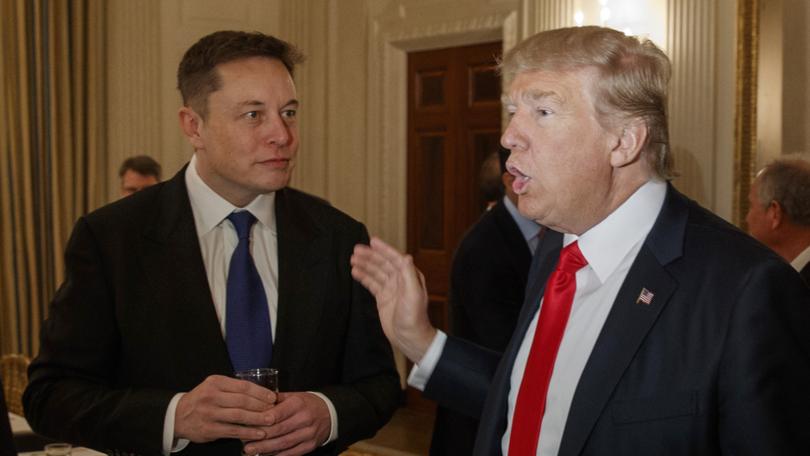 Elon Musk and then President Donald Trump at the White House in Washington, Feb. 3, 2017.