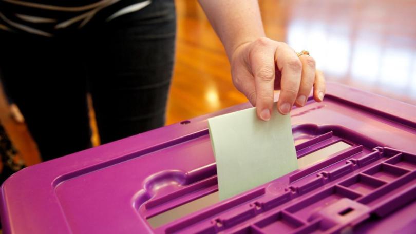 A head office oversight has robbed Liberal Party candidates of a spot on the ballot papers at upcoming elections for councils across NSW.