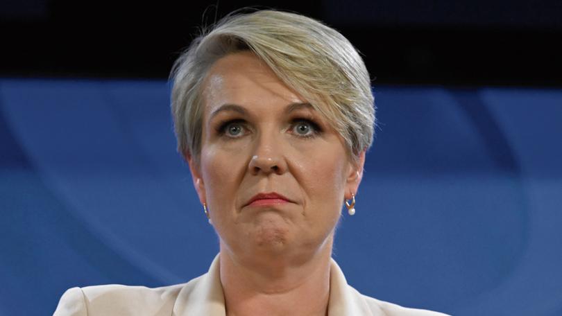 Tanya Plibersek is looking at watering down the Nature Positive Plan.