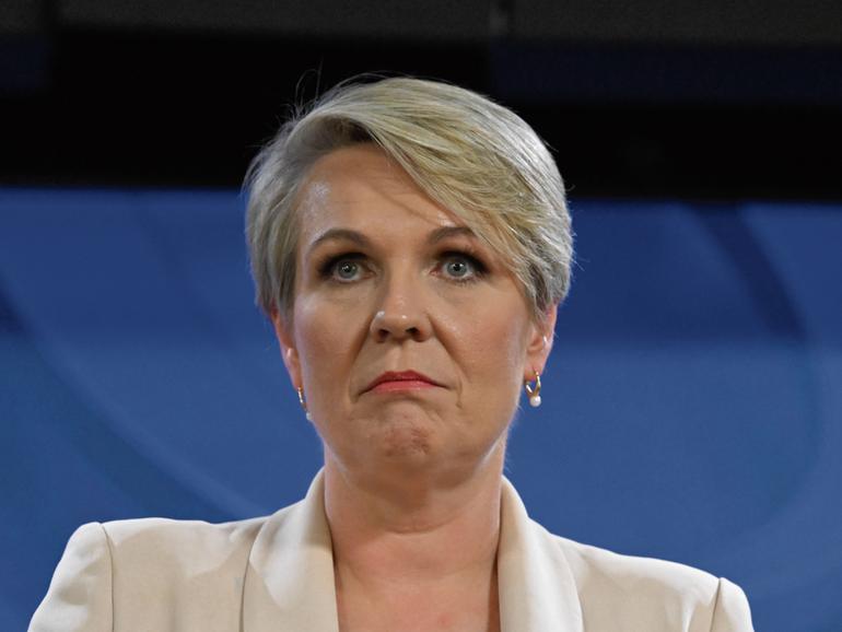 Tanya Plibersek is looking at watering down the Nature Positive Plan.