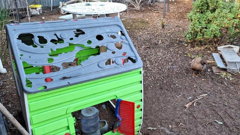 A child’s playhouse was damaged in a hailstorm in the SA’s Eyre Peninsula.