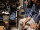 Captured Russian soldiers and border guards sit in a cell in a Ukrainian prison in northeastern Ukraine. 