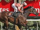 Champion mare Black Caviar has sadly died.