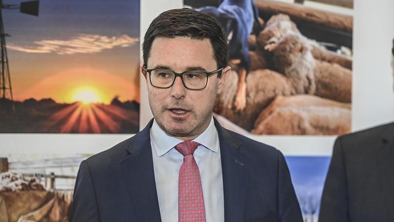 Federal National Party leader David Littleproud has defended Peter Dutton over claims he was “racist” for calling for a temporary ban on visas for people in the war zone.