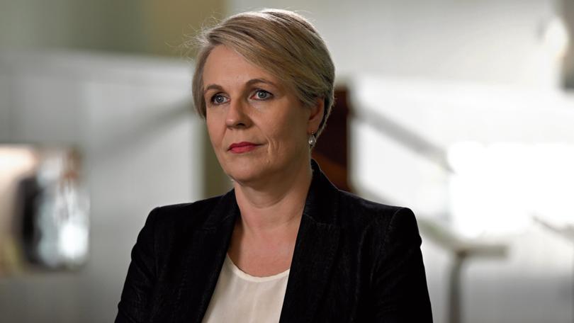 Minister for Environment Tanya Plibersek.