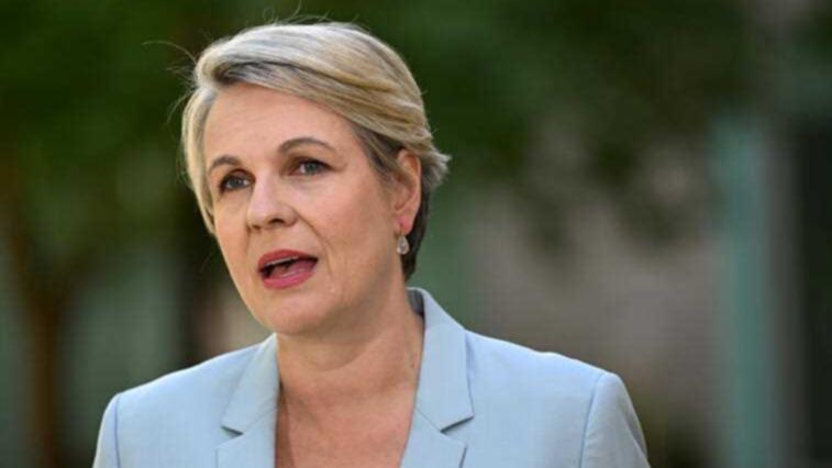 Environment Minister Tanya Plibersek. 