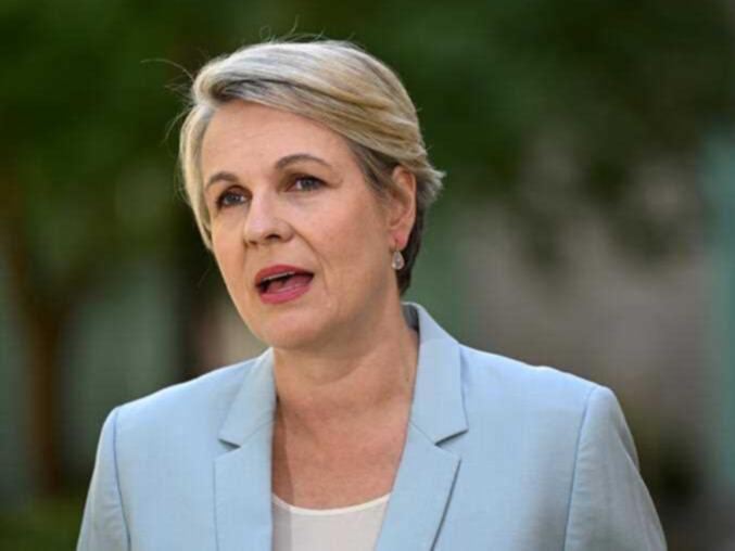 Environment Minister Tanya Plibersek. 