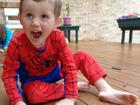 William Tyrrell was wearing his Spider-Man suit when he disappeared in September 2014. (HANDOUT/NSW POLICE)