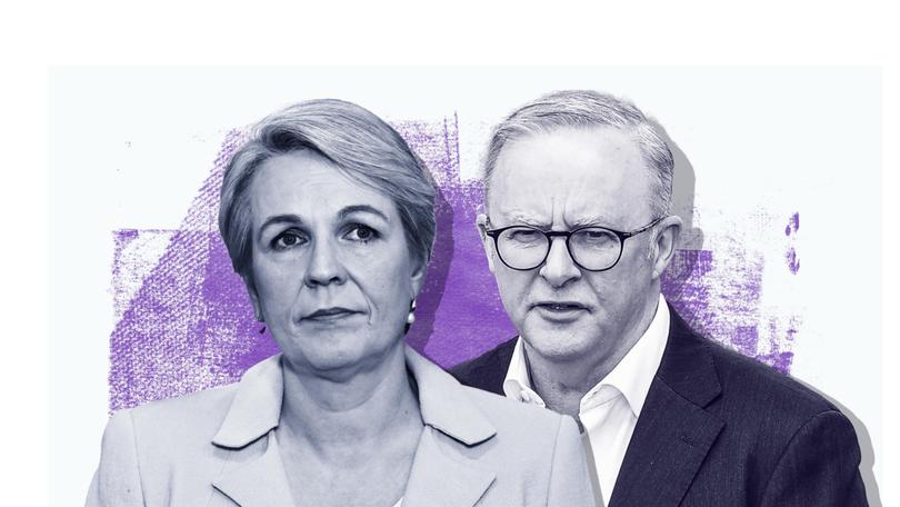 ANDREW CARSWELL: Tanya Plibersek is emerging as the single biggest threat to the Albanese Government’s tenuous hold on majority rule. The wrecking ball that Anthony Albanese never expected, nor countenanced. 