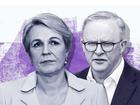 ANDREW CARSWELL: Tanya Plibersek is emerging as the single biggest threat to the Albanese Government’s tenuous hold on majority rule. The wrecking ball that Anthony Albanese never expected, nor countenanced. 