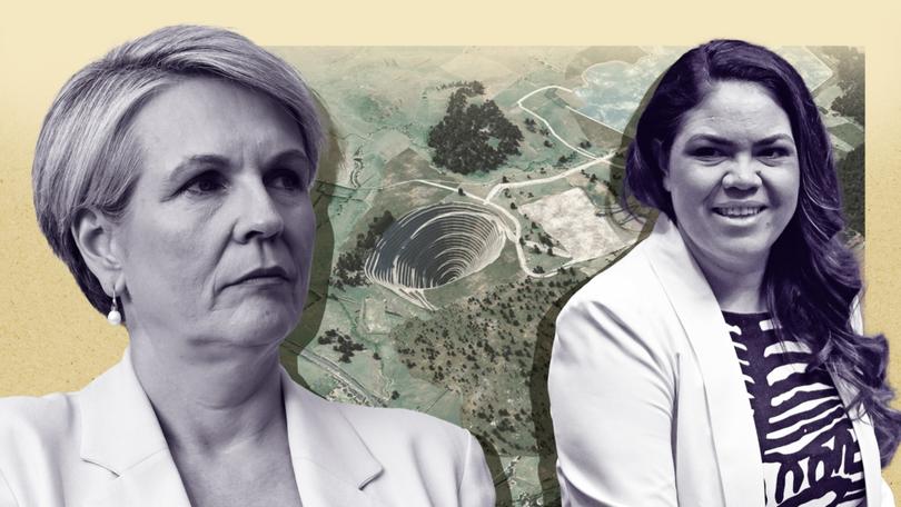 Senator Price launched the attack as the Coalition pushes to overturn Environment Minister Tanya Plibersek’s decision to torpedo the $1 billion McPhillamys development. 