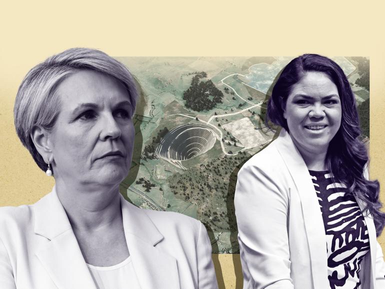 Senator Price launched the attack as the Coalition pushes to overturn Environment Minister Tanya Plibersek’s decision to torpedo the $1 billion McPhillamys development. 