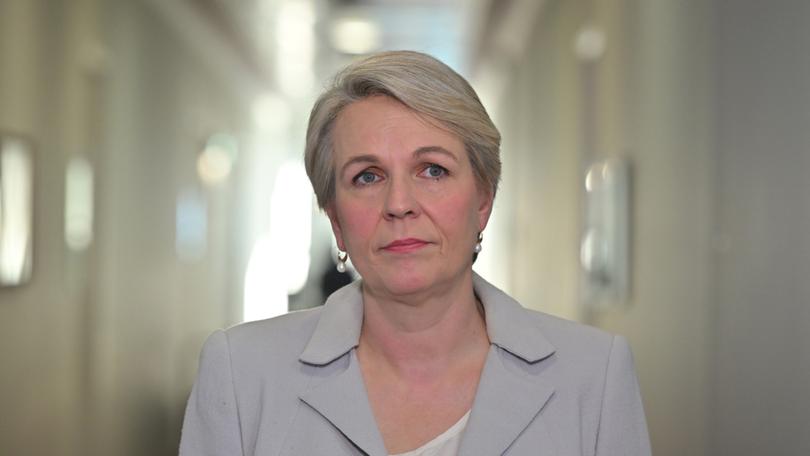 Minister for Environment Tanya Plibersek has approved Australia’s biggest solar farm days after blocking a $1b gold mine. 