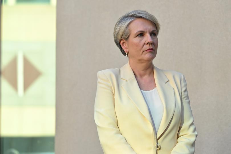 Minister for Environment Tanya Plibersek