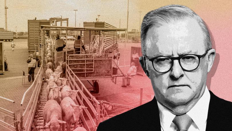 Anthony Albanese has been accused of making a 'poor taste' live export joke. Supplied